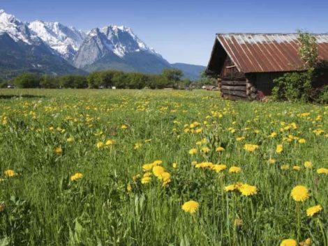 Appartement Alpenkette à Garmisch-Partenkirchen Extérieur photo